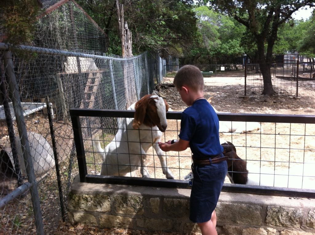 2012-04-09-14-Austin Zoo with Ian.jpg